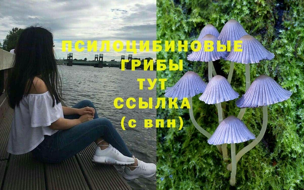 MDMA Баксан