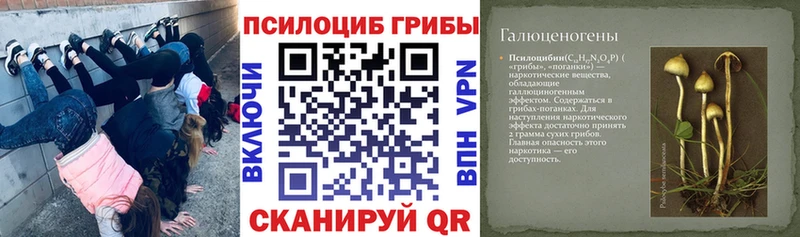 Галлюциногенные грибы прущие грибы  Красный Холм 