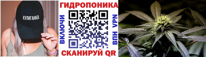 кракен вход  где найти   Красный Холм  Марихуана индика 